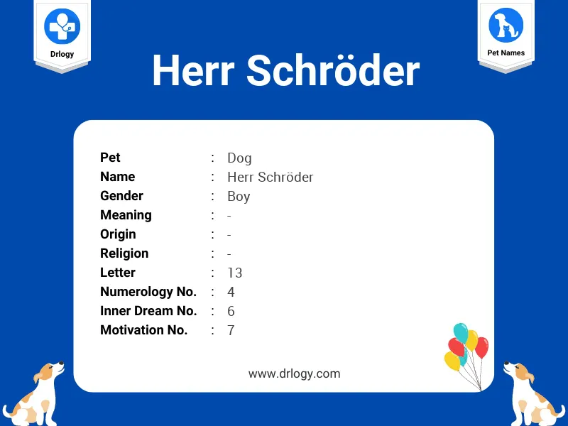 Herr SchröDer Name Meaning